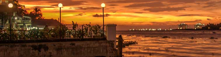 Kochi-Contact-Header