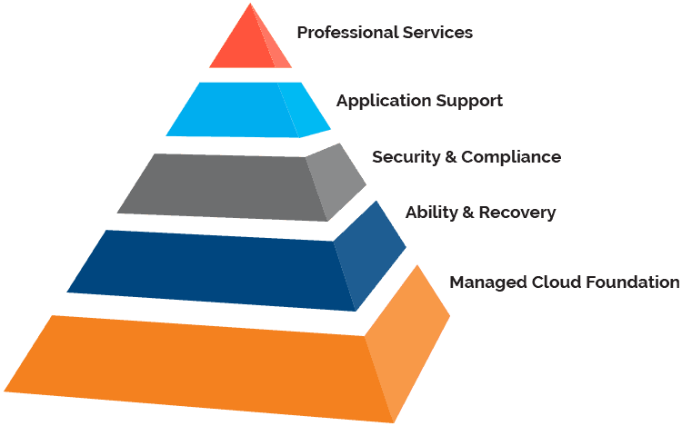 ManagedITDENtri Denver Managed IT Services