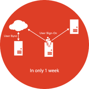 O365_newcircles2 O365_newcircles2