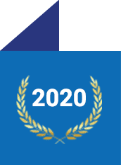 icon-award-flag-2020 MS award 2020
