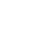 icon-risk-mitigation icon risk mitigation