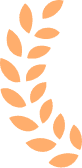 laurel-branch-left-peach